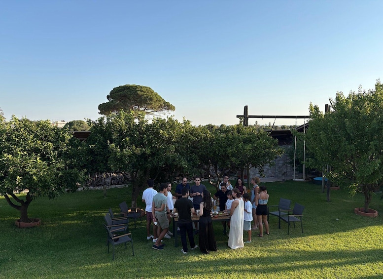 Picture 12 for Activity Authentic Puglia Cooking Class in Local Family Home (Lecce) 5