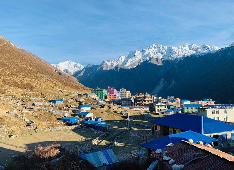 Picture 8 for Activity Langtang Valley Trek - 10 Days Trip 5