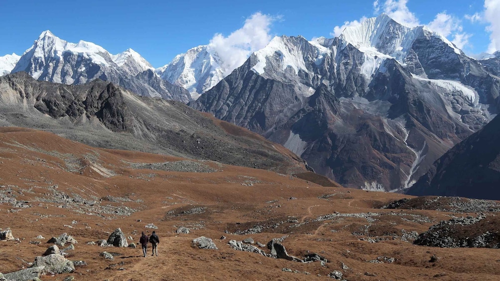 Picture 4 for Activity Langtang Valley Trek - 10 Days Trip 4