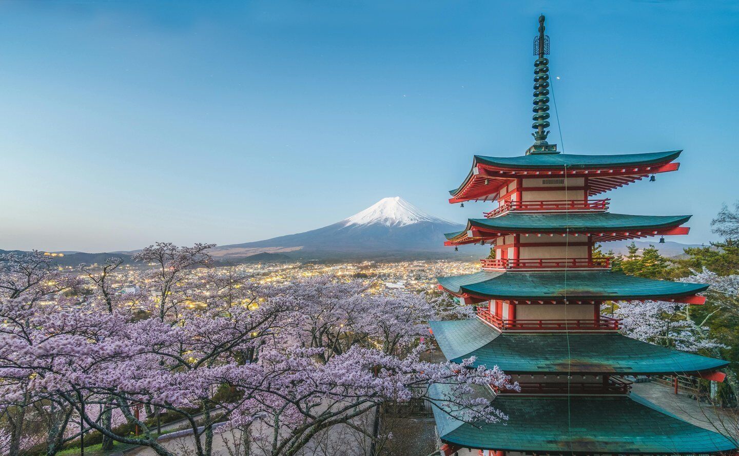 From Tokyo: Mount Fuji Full-Day Sightseeing Trip