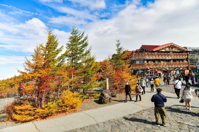 Picture 3 for Activity From Tokyo: Mount Fuji Full-Day Highlights Sightseeing Trip 3