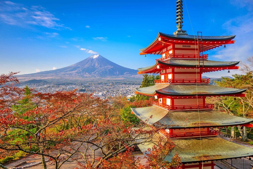 From Tokyo: Mount Fuji Full-Day Highlights Sightseeing Trip 1