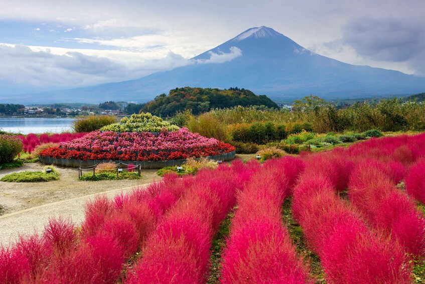 Picture 10 for Activity From Tokyo: Mount Fuji Full-Day Highlights Sightseeing Trip 2