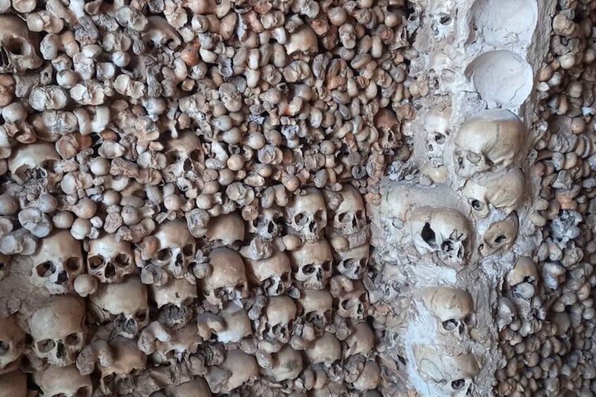 A wall covered with numerous skulls. 4