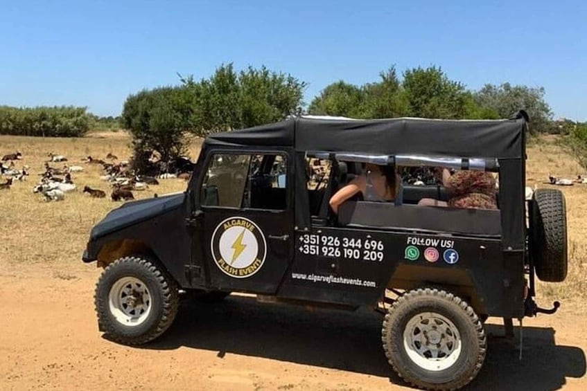 A black safari vehicle with a canopy, parked in a dry, open area with sparse vegetation and a few trees in the background. 1