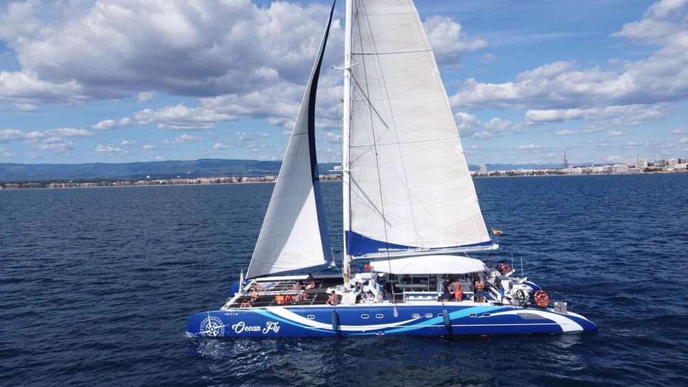 A sailboat named 'Ocean Fly' with two large sails on a calm sea, with a coastal cityscape in the background. 3