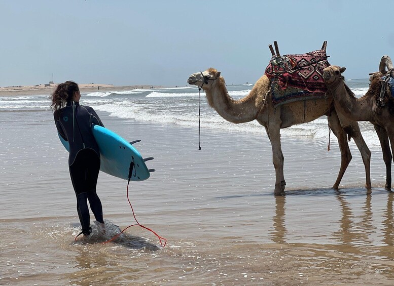 Una persona con traje de neopreno sostiene una tabla de surf, caminando hacia un camello en la playa. 3