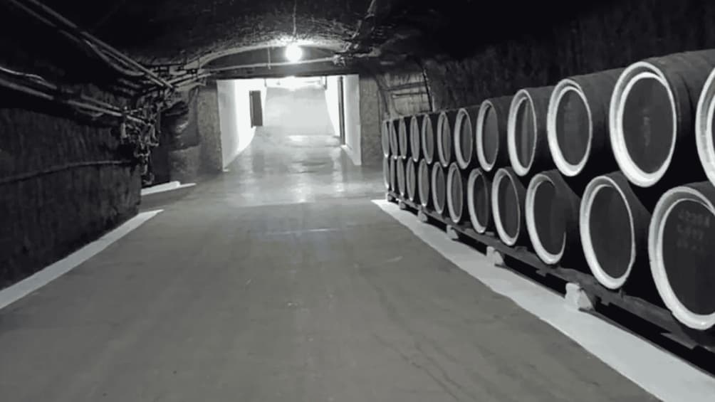 Picture 4 for Activity Old Orhei Curchi Monastery: Brănești Wine Tasting Experience 4