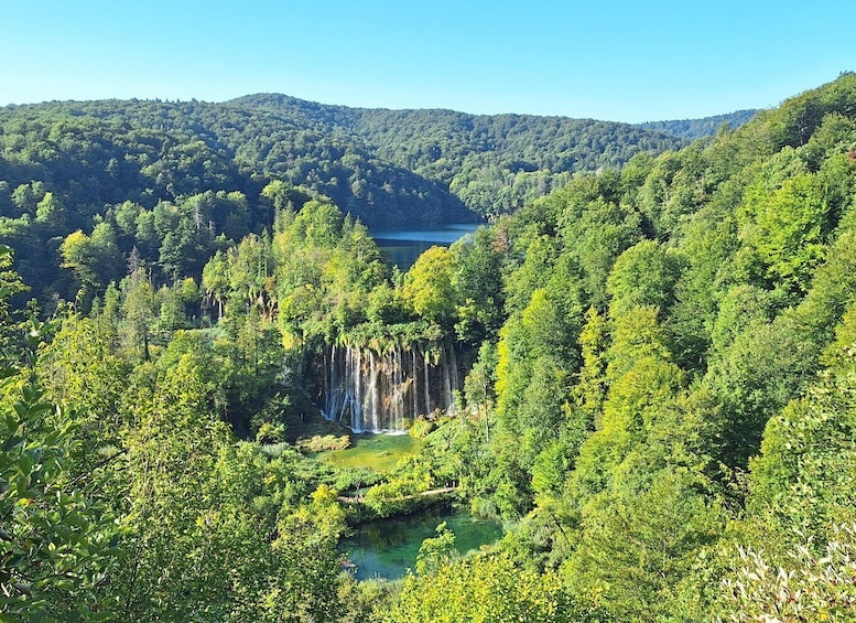 Picture 7 for Activity Croatia: Plitvice Lakes Private Tour with Hotel Pickup 5