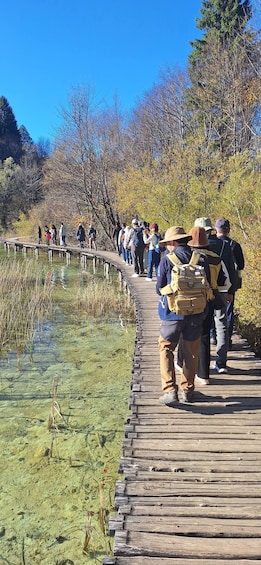 Picture 9 for Activity Croatia: Plitvice Lakes Private Tour with Hotel Pickup 4