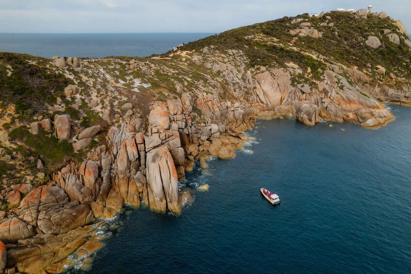 Picture 23 for Activity Melbourne: Wilsons Promontory Morning Wilderness Cruise 2