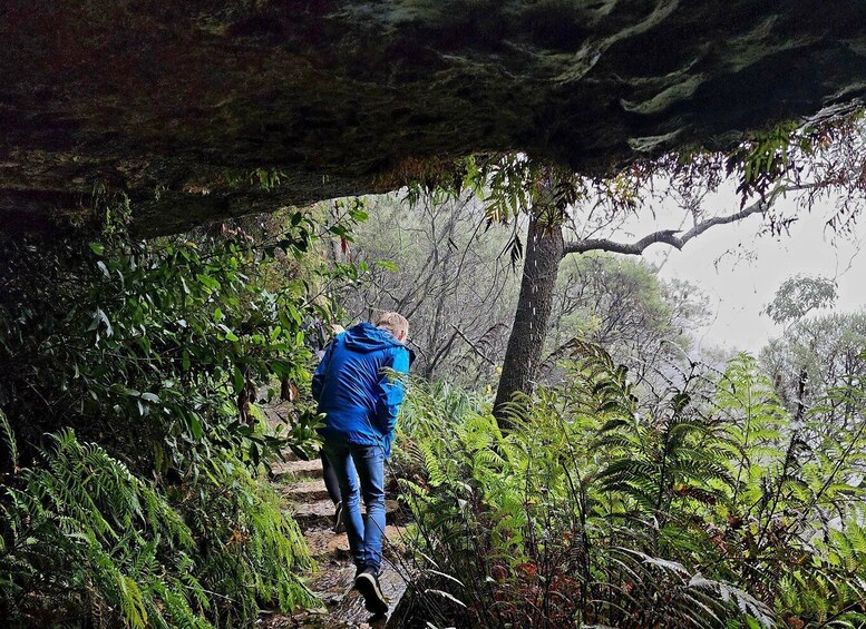 Picture 91 for Activity From Sydney: Blue Mountains Tour with Waterfall Walk & Lunch 5