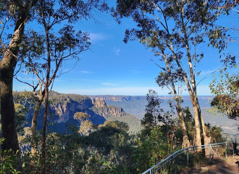 Picture 82 for Activity From Sydney: Blue Mountains Tour with Waterfall Walk & Lunch 3