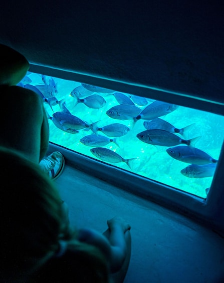 Picture 2 for Activity CAP NORFEU SWIMMING: Underwater Views (New Free Audio Guide) 3