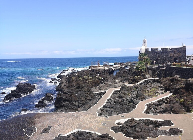 Picture 4 for Activity Tenerife: Teide National Park, Masca, Icod & Garachico Tour 4
