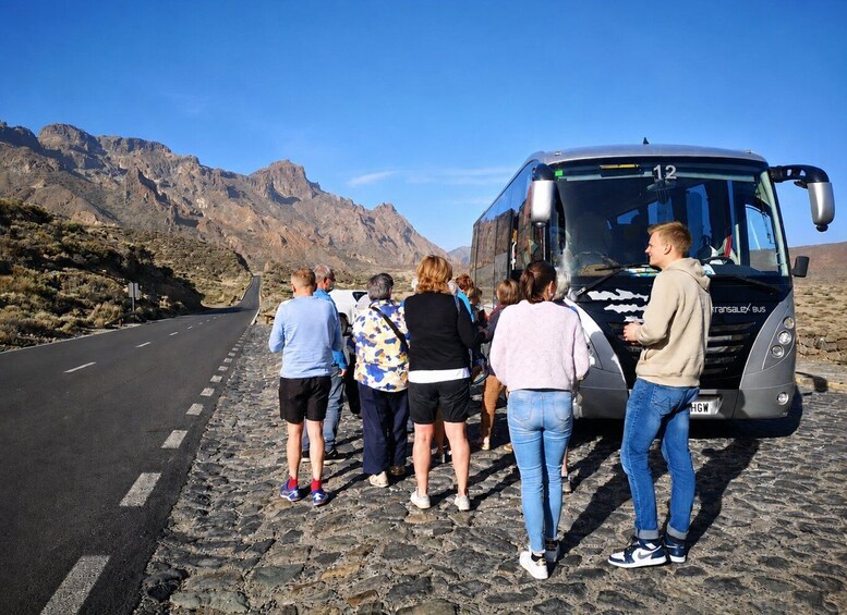 Picture 9 for Activity Tenerife: Teide National Park, Masca, Icod & Garachico Tour 5