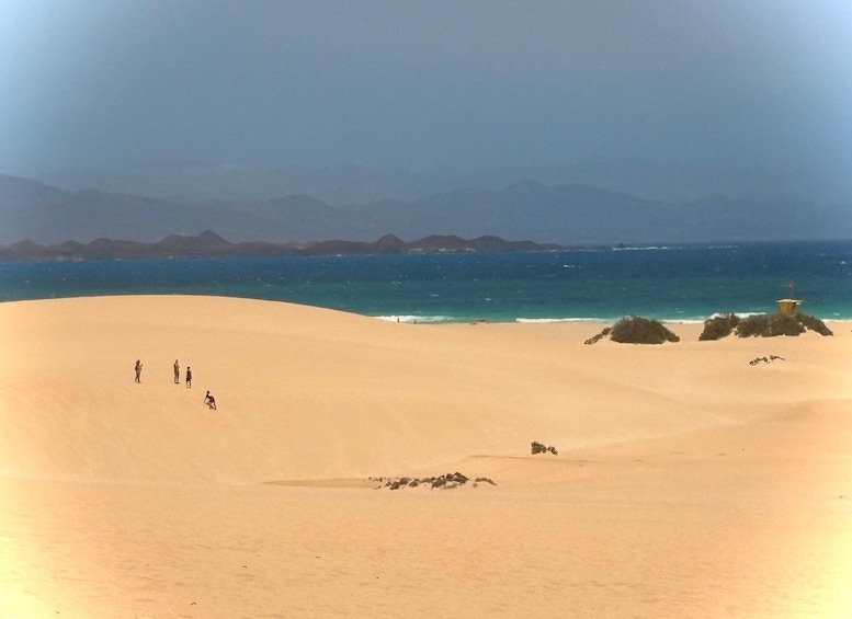 Picture 21 for Activity The wonders of Fuerteventura : All highlights in 1 day 3
