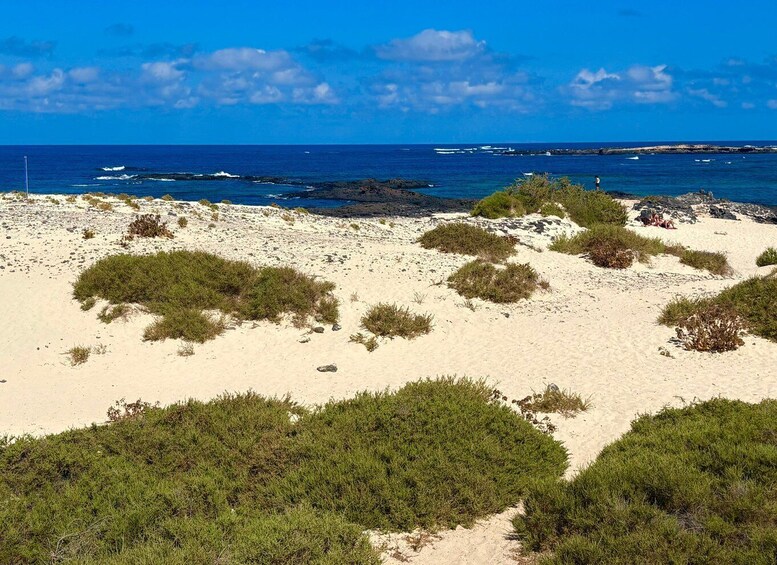 Picture 21 for Activity The wonders of Fuerteventura : All highlights in 1 day 3