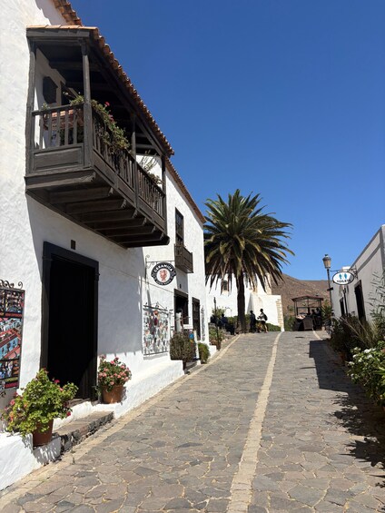 A cobblestone street lined with white buildings, a palm tree, and a sign for toilets. 5