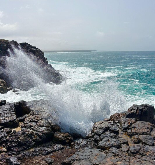 Picture 21 for Activity The wonders of Fuerteventura : All highlights in 1 day 3