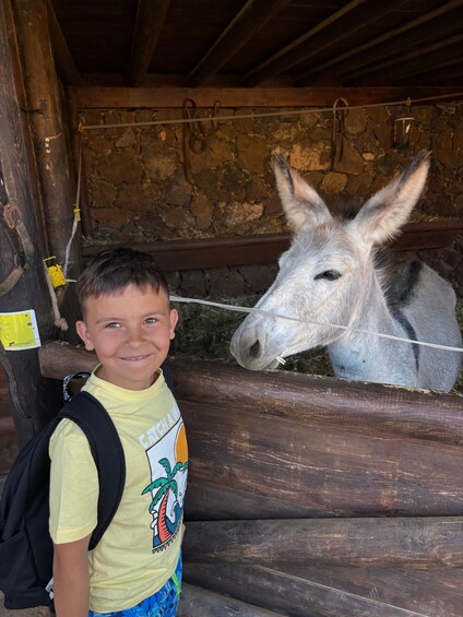 A child standing next to a wooden fence with a donkey behind it. 3