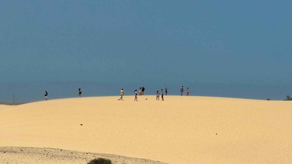 Picture 17 for Activity The wonders of Fuerteventura : All highlights with Max 8 pax 3