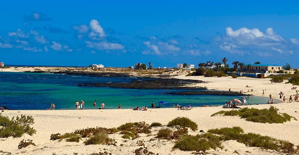The wonders of Fuerteventura : All highlights with Max 8 pax 5
