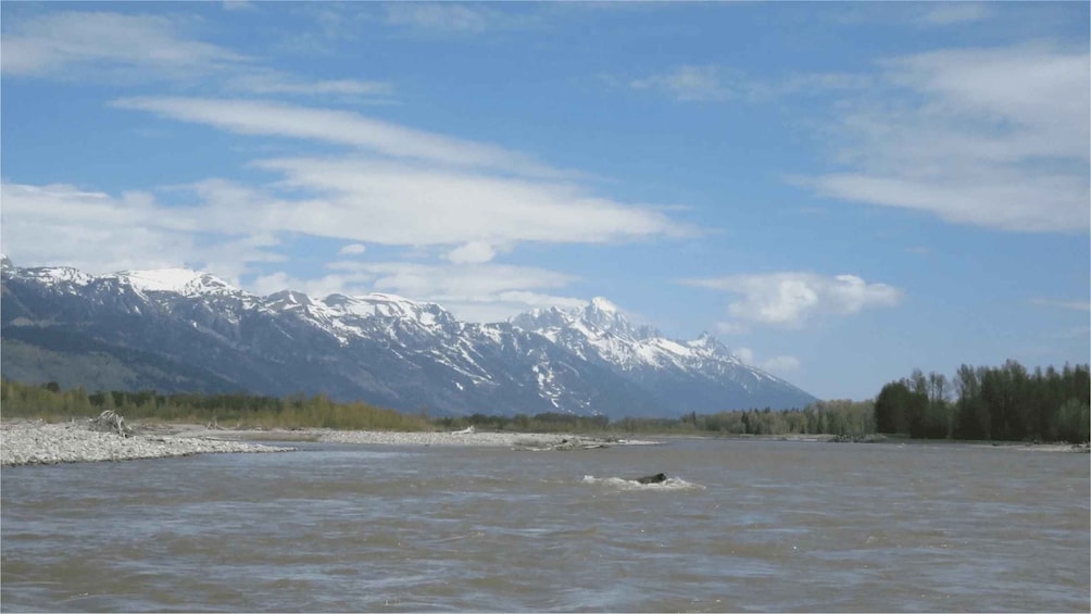 Picture 1 for Activity From Jackson Hole: Snake River Float with Scenic Teton Views 5