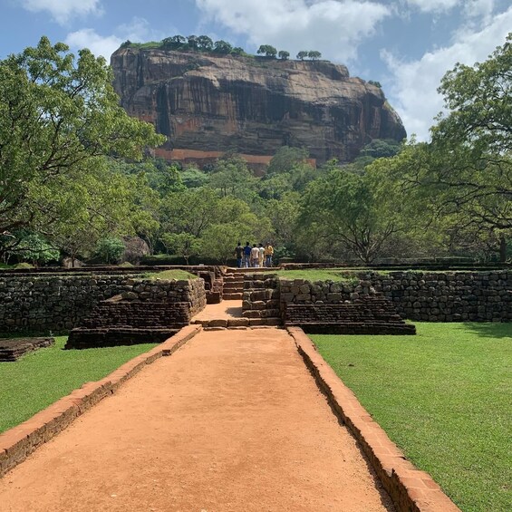 Picture 9 for Activity Kandy to Sigiriya Dambulla & Minneriya Park Safari day tour 1