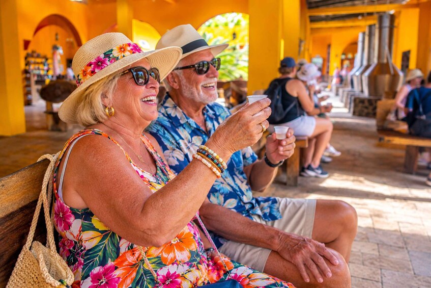 Picture 3 for Activity Puerto Vallarta Tour: Malecon, Mismaloya & Tequila Tasting 4