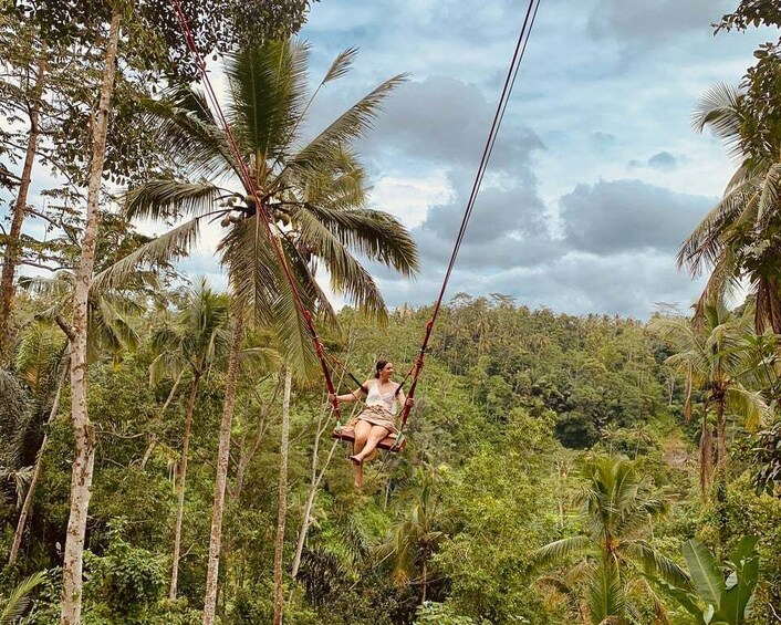A person on a swing suspended by ropes between trees in a lush forest. 1