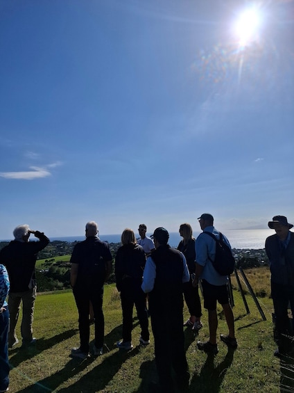 Picture 22 for Activity The Boutique Experience: Waiheke Island Best Cellar Tour 3