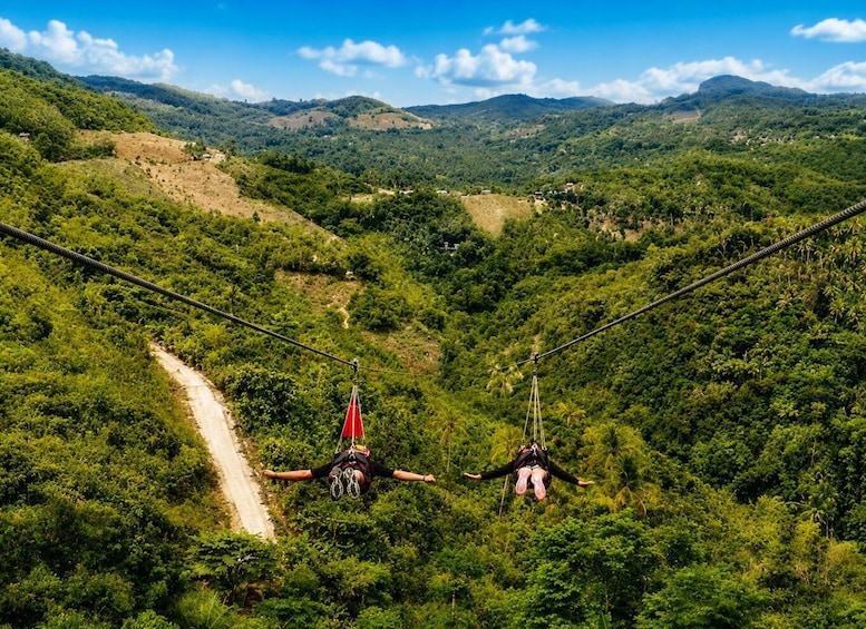 Picture 40 for Activity Cebu: Whale Shark & Kawasan Canyoneering + Breakfast 2