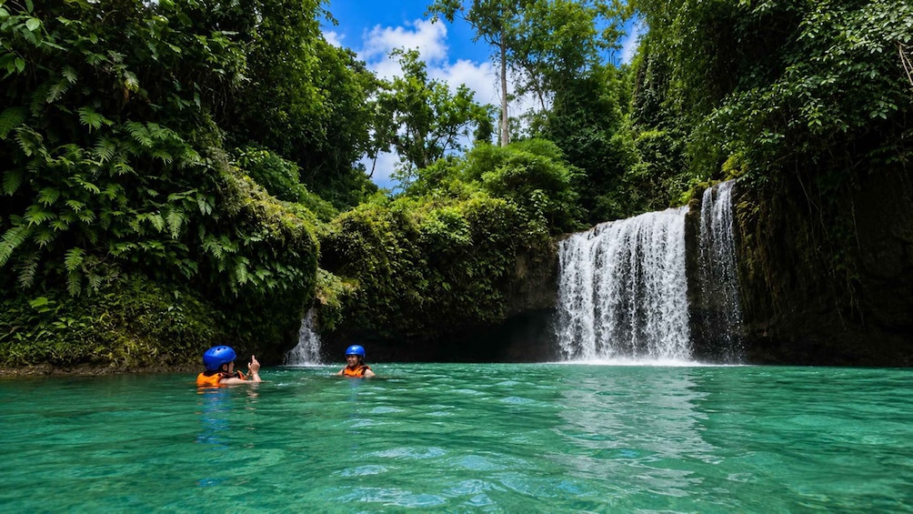 Picture 3 for Activity Cebu: Whale Shark Swim and Kawasan Canyoneering Tour 2