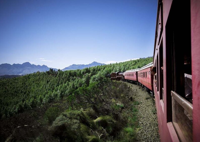 A train traveling through a forested mountainous area. 1