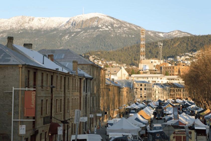 Picture 3 for Activity Hobart: nipaluna Half-Day Highlights Tour 2