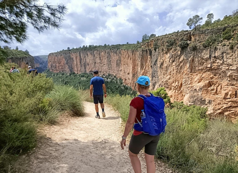 A hiking trail with rocky cliffs and greenery. 5