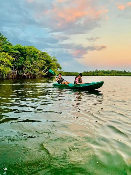 Picture 1 for Activity Kayaking in Mirissa 3