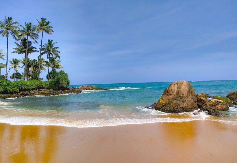 Une plage à l’eau turquoise et limpide, bordée d’un rivage sablonneux et de palmiers. 4