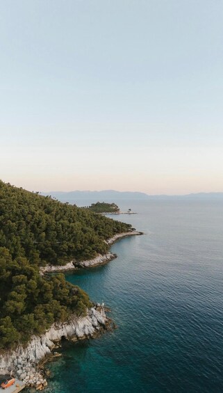 A coastal landscape with a rocky shoreline, dense green forest, and a clear blue sea. 4