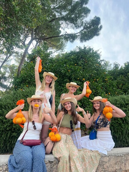 Valencia: Orange Farm and Orchard Trip with Tastings 1