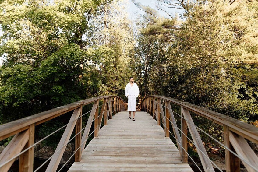 A wooden bridge surrounded by trees. 2
