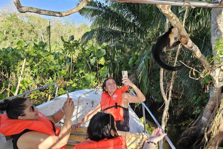 Une personne dans un bateau prend une photo d’un singe perché sur une branche d’arbre. 3