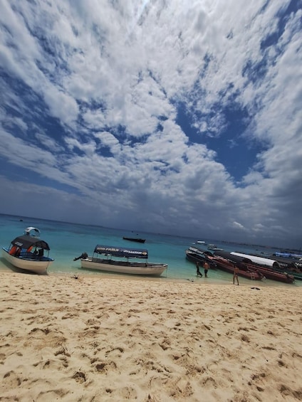 Picture 17 for Activity Zanzibar: Prison Island and Nakupenda Boat Trip with Lunch 2