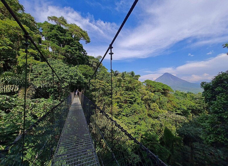 Picture 8 for Activity Fortuna Combo: Hanging Bridges + Arenal Volcano & Waterfall 4