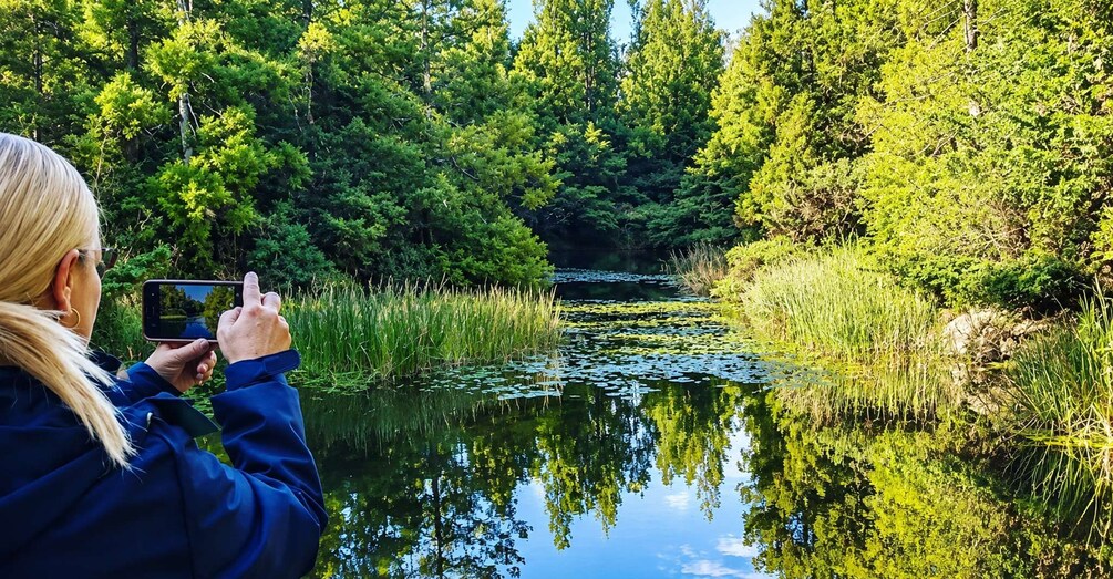 En person som fotograferar en damm som omges av frodig grönska. 3