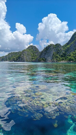 Picture 13 for Activity Coron: Private Boat Hire with Guided Tour and Lunch on Beach 5