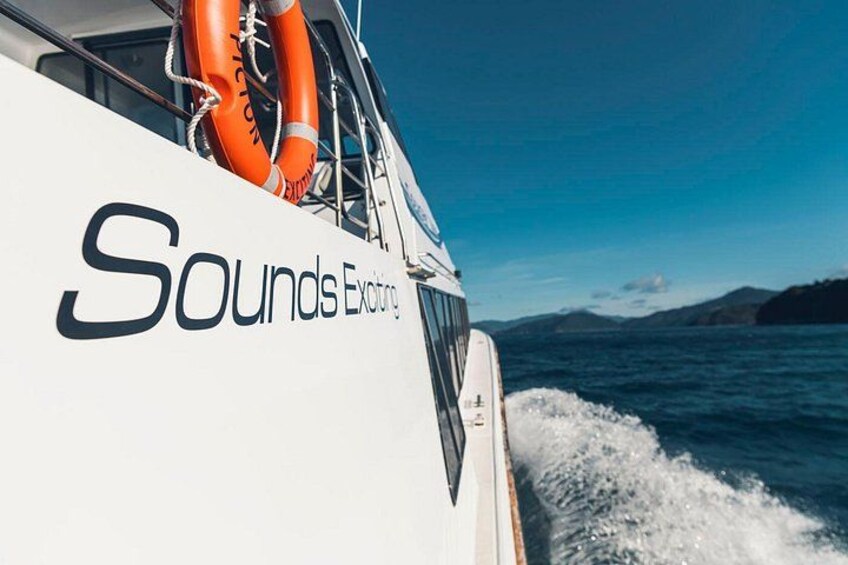 Cougar Line Sounds Exciting on the water 3