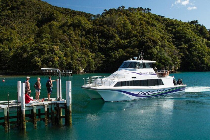 Cougar Line 3 Hour Delivery Cruise 1