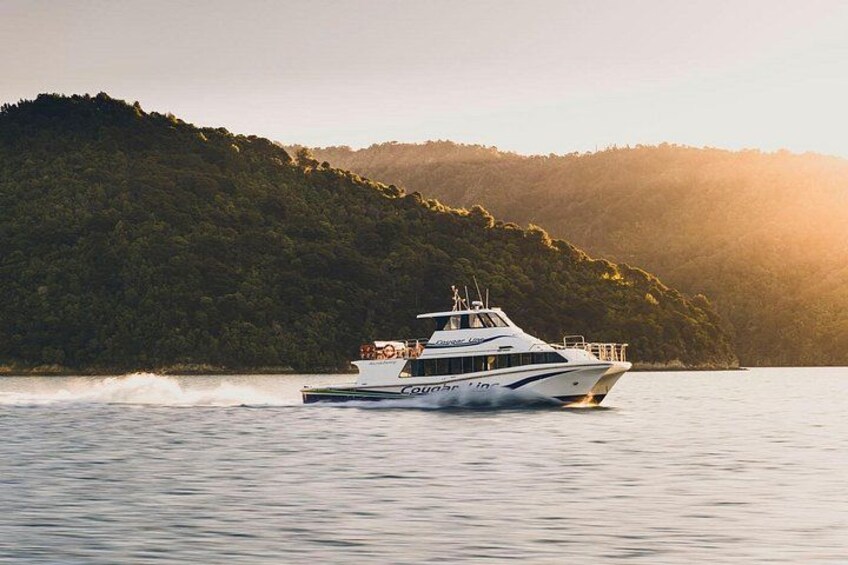 Cougar Line cruising through Marlborough Sounds 4